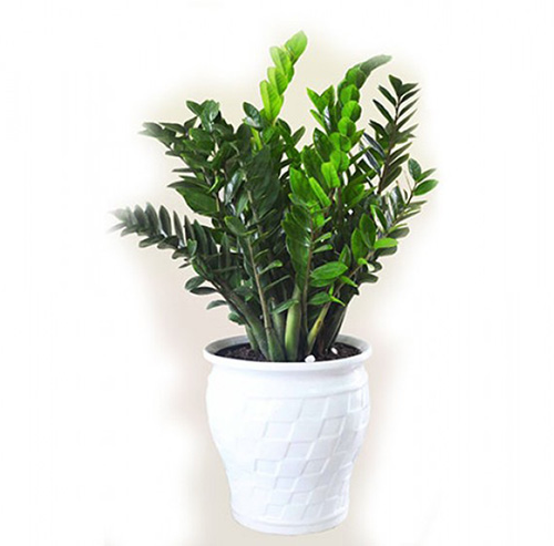 screenshot 1590575559 500x493 1